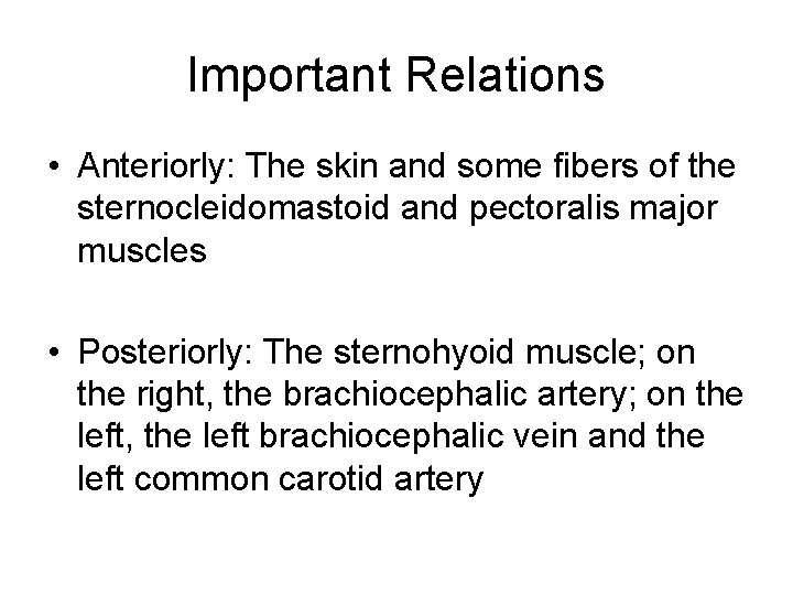 Important Relations • Anteriorly: The skin and some fibers of the sternocleidomastoid and pectoralis