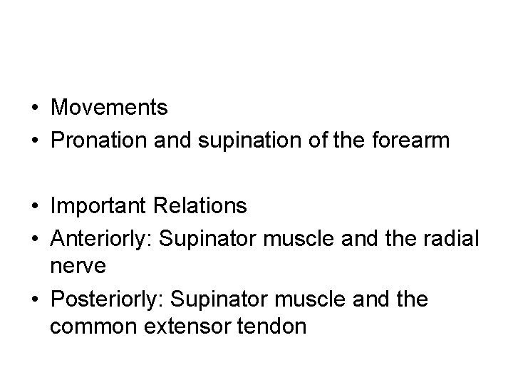  • Movements • Pronation and supination of the forearm • Important Relations •