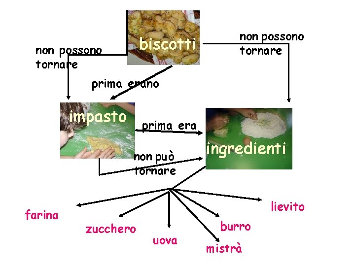 biscotti non possono tornare prima erano impasto prima era non può tornare farina ingredienti