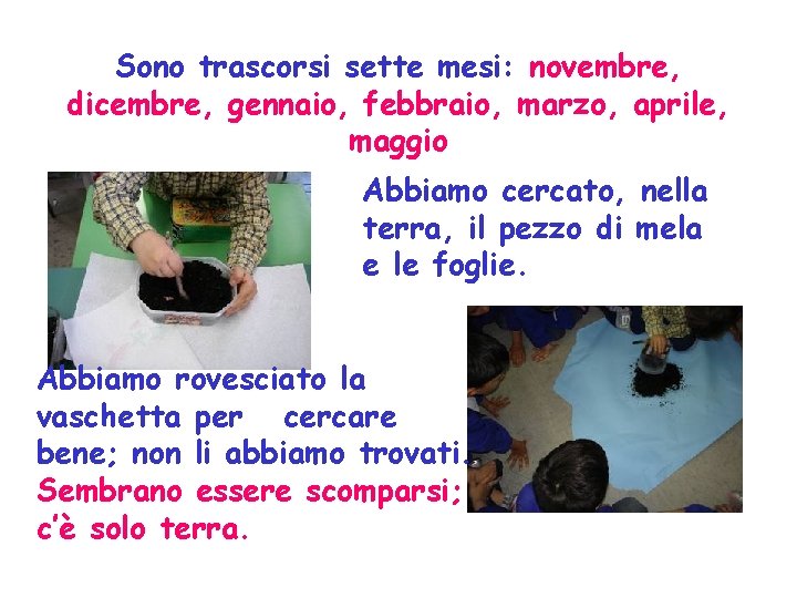 Sono trascorsi sette mesi: novembre, dicembre, gennaio, febbraio, marzo, aprile, maggio Abbiamo cercato, nella