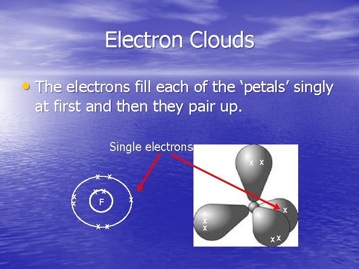 Electron Clouds • The electrons fill each of the ‘petals’ singly at first and