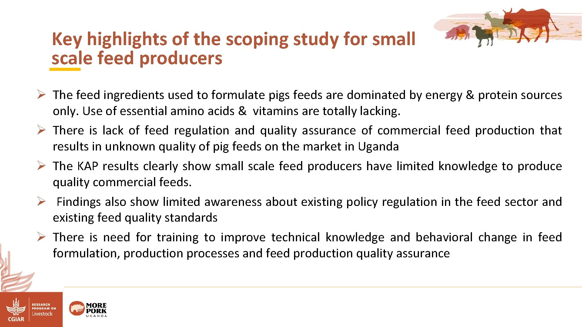 Key highlights of the scoping study for small scale feed producers Ø The feed