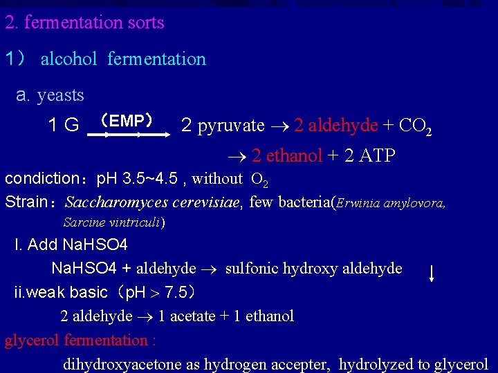 2. fermentation sorts 1） alcohol fermentation a. yeasts 1 G （EMP） 2 pyruvate 2