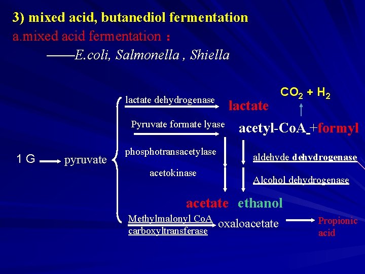 3) mixed acid, butanediol fermentation a. mixed acid fermentation ： ——E. coli, Salmonella ,