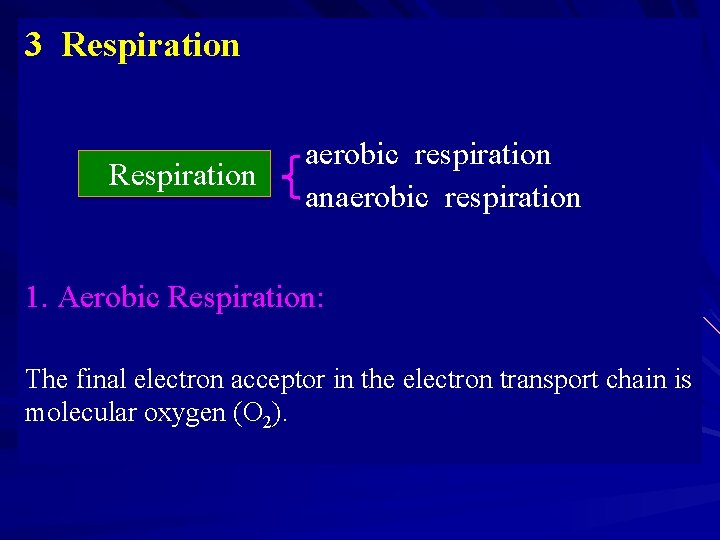 3 Respiration aerobic respiration anaerobic respiration 1. Aerobic Respiration: The final electron acceptor in