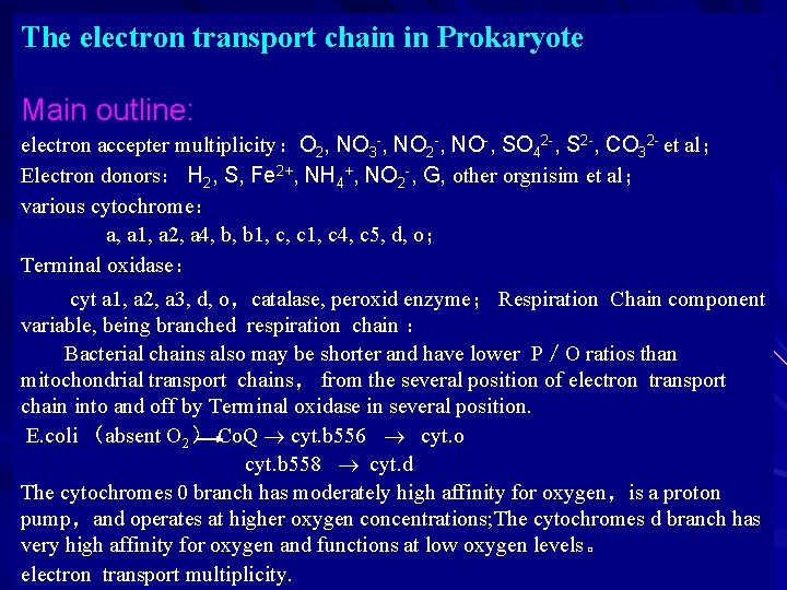 The electron transport chain in Prokaryote Main outline: electron accepter multiplicity：O 2, NO 3