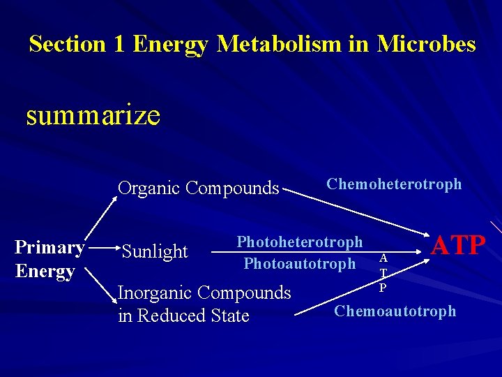 Section 1 Energy Metabolism in Microbes summarize Organic Compounds Primary Energy Sunlight Chemoheterotroph Photoautotroph