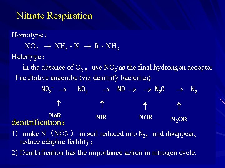 Nitrate Respiration Homotype： NO 3 - NH 3 - N R - NH 2