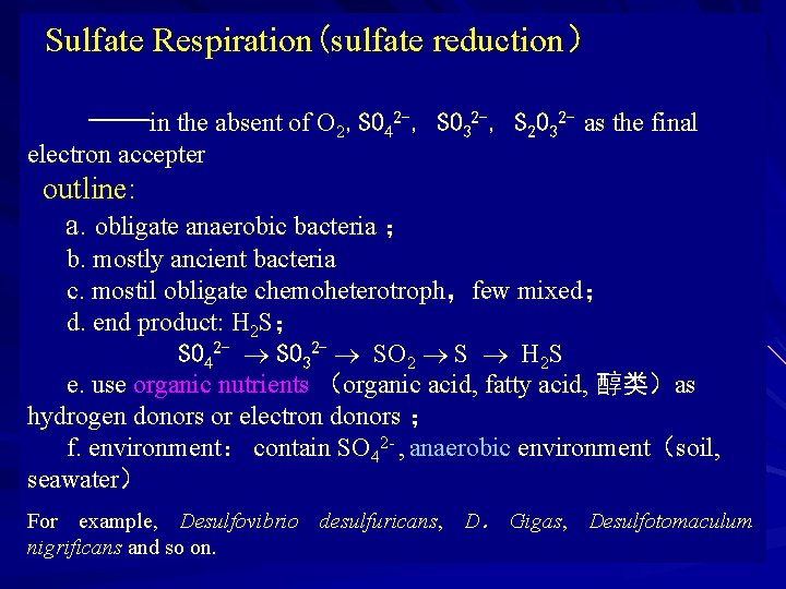 Sulfate Respiration(sulfate reduction） ——in the absent of O 2, SO 42 -, SO 32