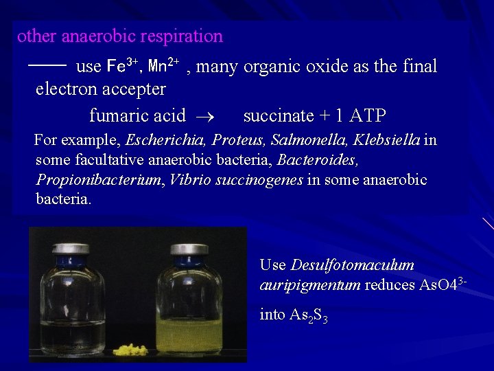 other anaerobic respiration —— use Fe 3+, Mn 2+ , many organic oxide as
