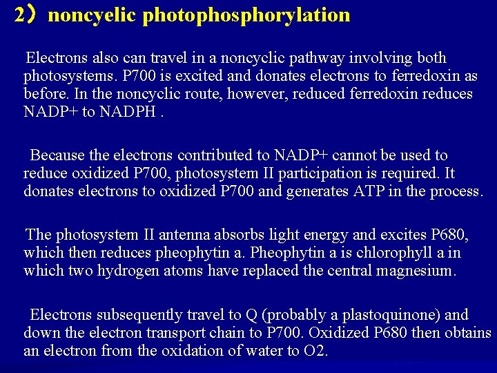 2）noncyelic photophosphorylation Electrons also can travel in a noncyclic pathway involving both photosystems. P