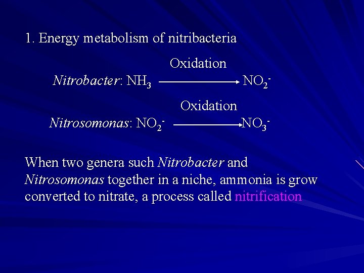 1. Energy metabolism of nitribacteria Oxidation Nitrobacter: NH 3 NO 2 Oxidation Nitrosomonas: NO