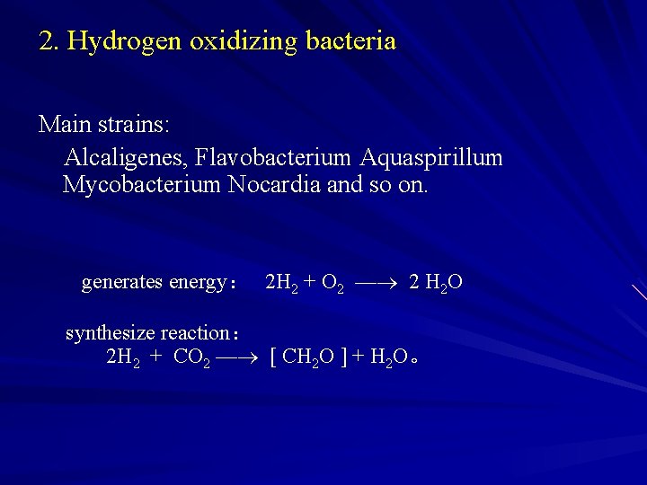 2. Hydrogen oxidizing bacteria Main strains: Alcaligenes, Flavobacterium Aquaspirillum Mycobacterium Nocardia and so on.