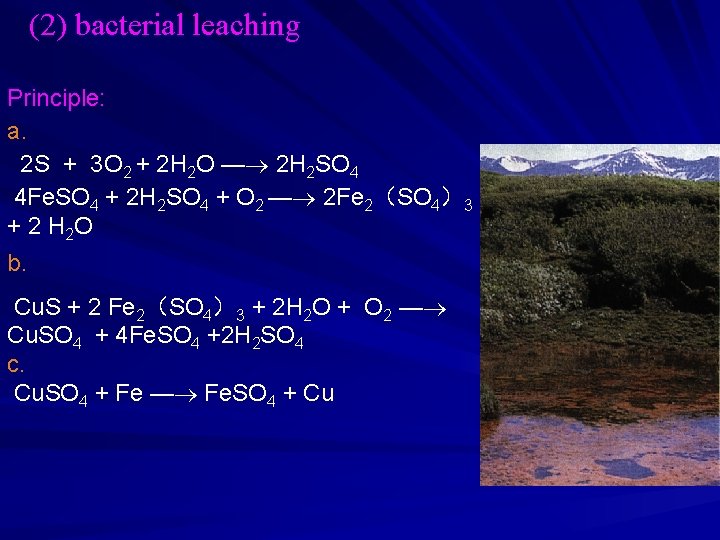 (2) bacterial leaching Principle: a. 2 S + 3 O 2 + 2 H