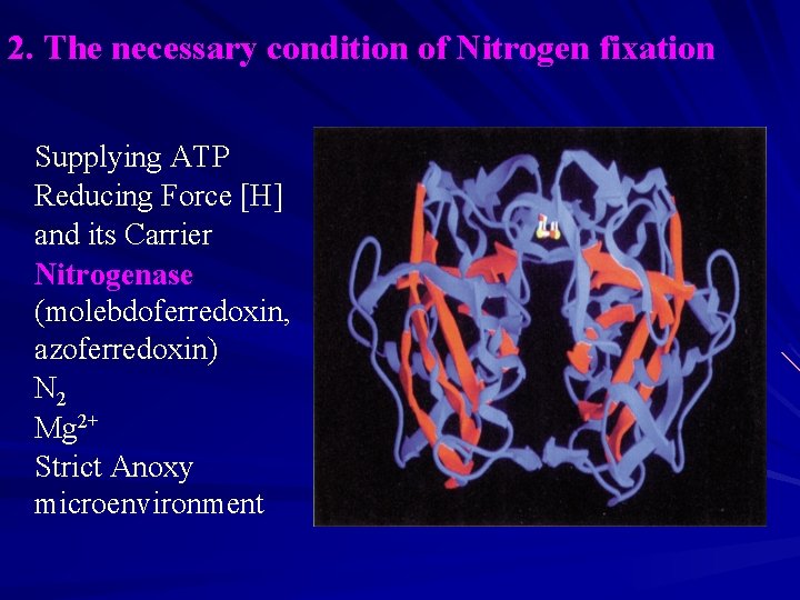 2. The necessary condition of Nitrogen fixation Supplying ATP Reducing Force [H] and its