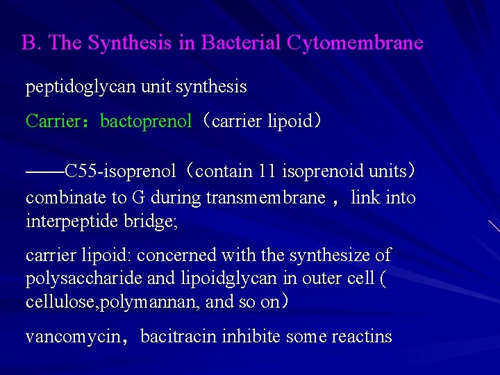 B. The Synthesis in Bacterial Cytomembrane peptidoglycan unit synthesis Carrier：bactoprenol（carrier lipoid） ——C 55 -isoprenol（contain