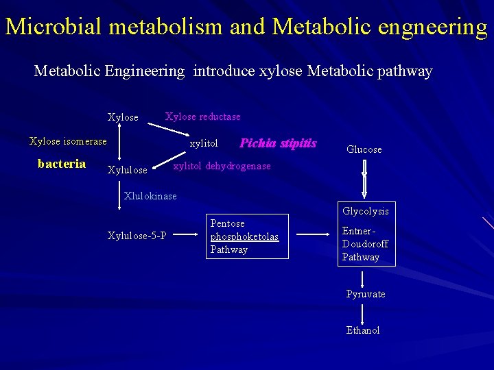 Microbial metabolism and Metabolic engneering Metabolic Engineering introduce xylose Metabolic pathway Xylose reductase Xylose