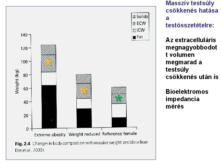 Masszív testsúly csökkenés hatása a testösszetételre: Az extracelluláris megnagyobbodot t volumen megmarad a testsúly