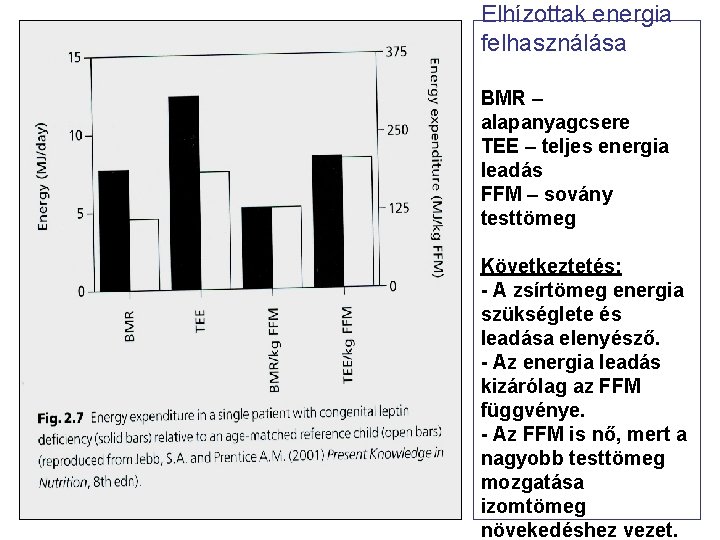 Elhízottak energia felhasználása BMR – alapanyagcsere TEE – teljes energia leadás FFM – sovány