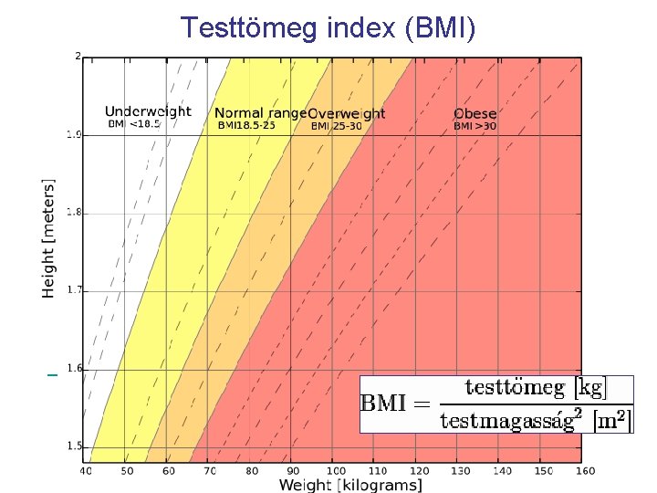 Testtömeg index (BMI) 