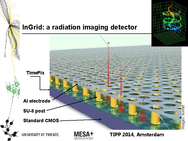 In. Grid: a radiation imaging detector Time. Pix Images: Nikhef Al electrode SU-8 post