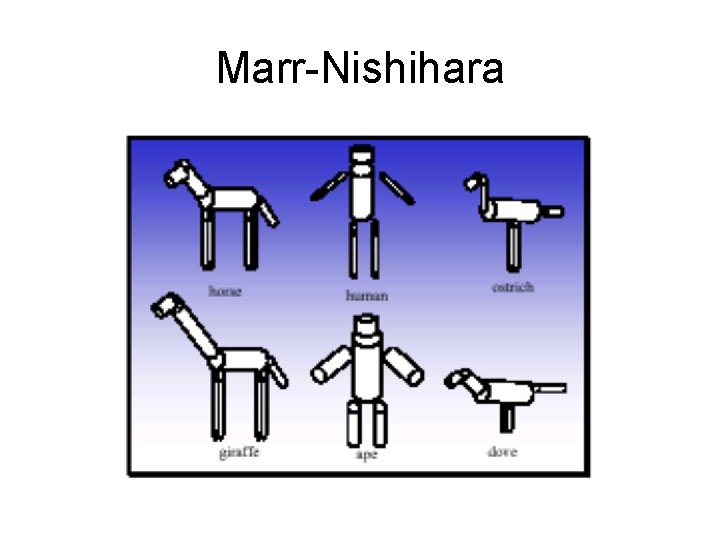 Marr-Nishihara 