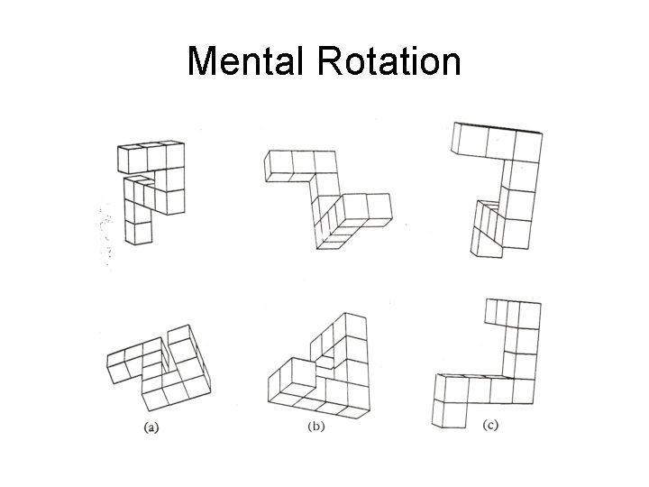 Mental Rotation 