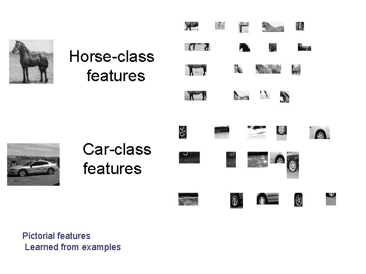 Horse-class features Car-class features Pictorial features Learned from examples 