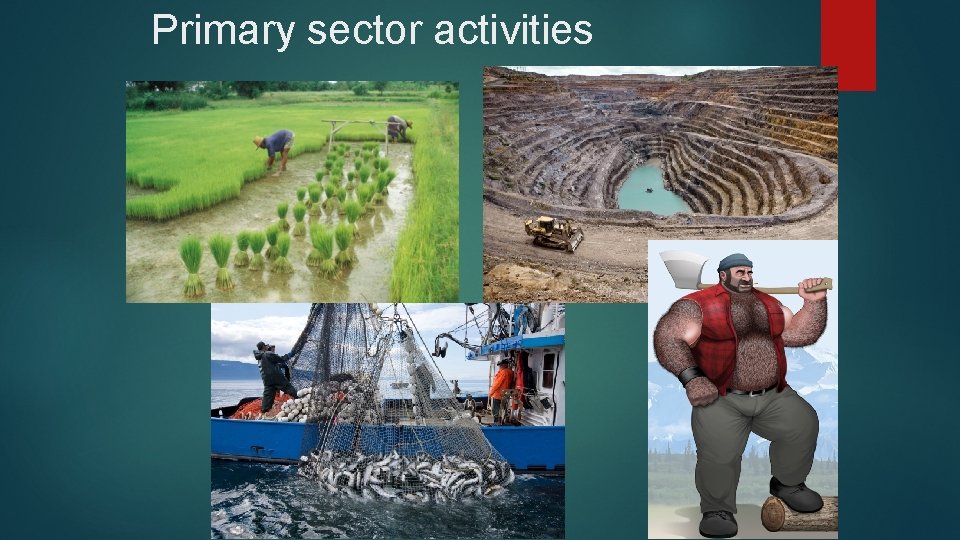Primary sector activities Primary sector activities