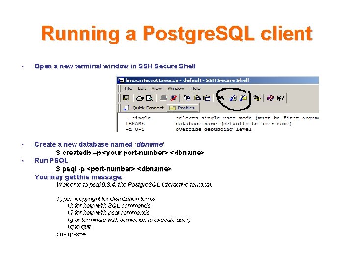 Running a Postgre. SQL client • Open a new terminal window in SSH Secure