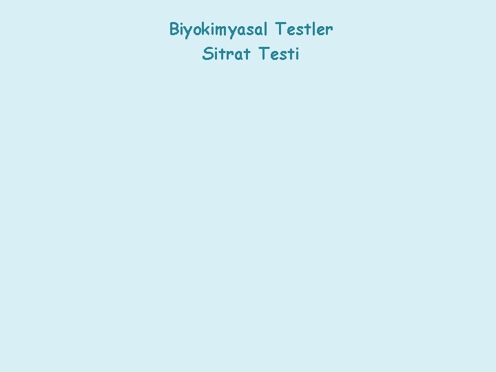 Biyokimyasal Testler Sitrat Testi 