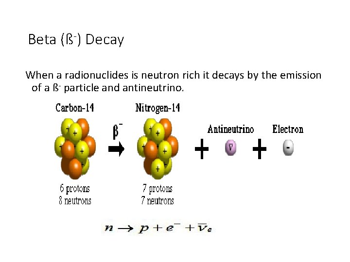 Beta (ß-) Decay When a radionuclides is neutron rich it decays by the emission