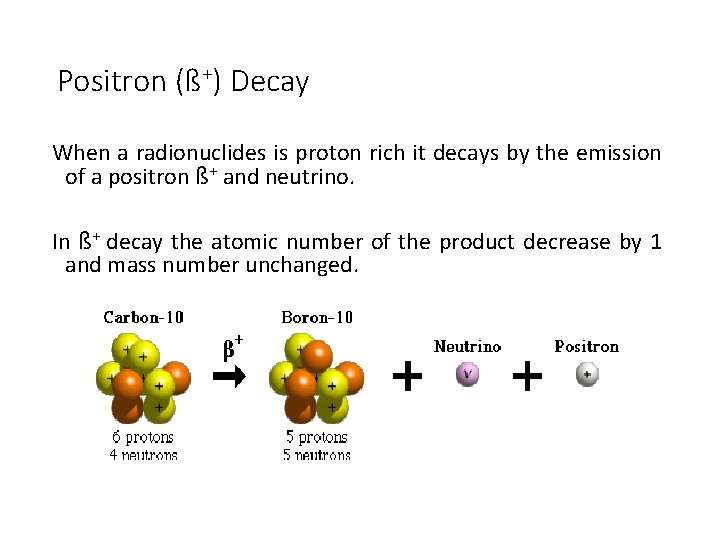 Positron (ß+) Decay When a radionuclides is proton rich it decays by the emission