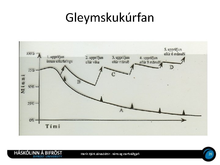 Gleymskukúrfan Marín Björk Jónasdóttir - náms og starfsráðgjafi 28 