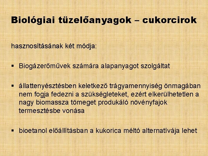 Biológiai tüzelőanyagok – cukorcirok hasznosításának két módja: § Biogázerőművek számára alapanyagot szolgáltat § állattenyésztésben