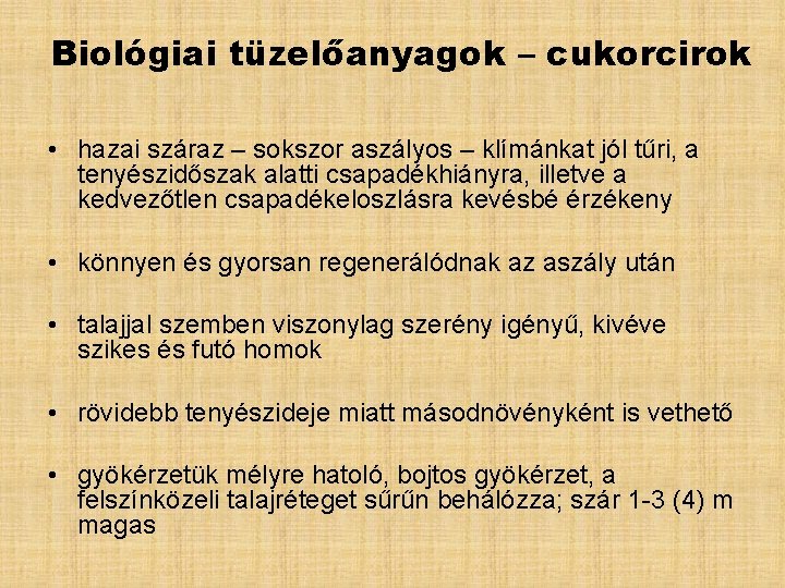 Biológiai tüzelőanyagok – cukorcirok • hazai száraz – sokszor aszályos – klímánkat jól tűri,