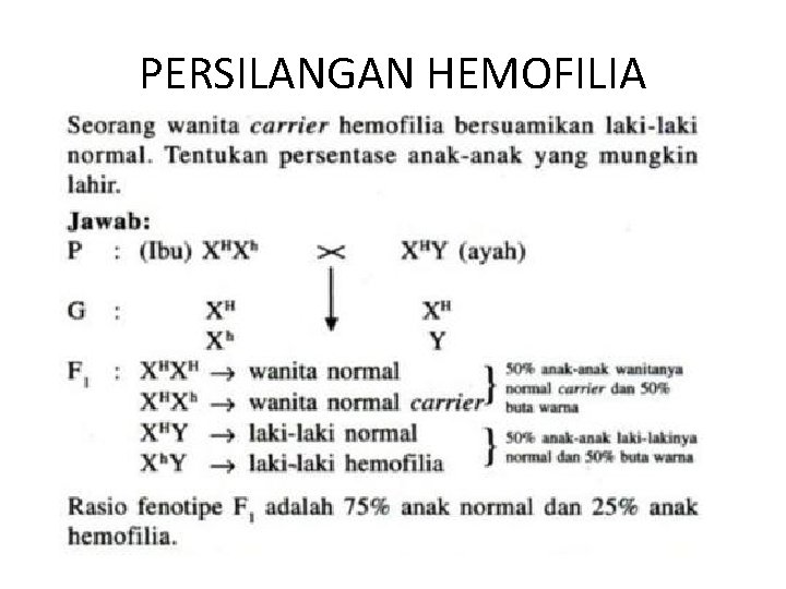 PERSILANGAN HEMOFILIA 