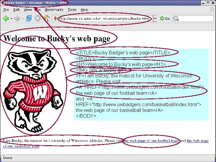 <TITLE>Bucky Badger’s web page</TITLE> <BODY> <H 1>Welcome to Bucky's web page</H 1> <IMG SRC="bucky.