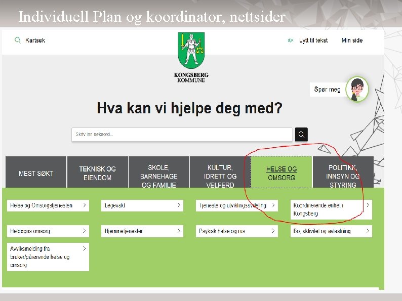 Individuell Plan og koordinator, nettsider 