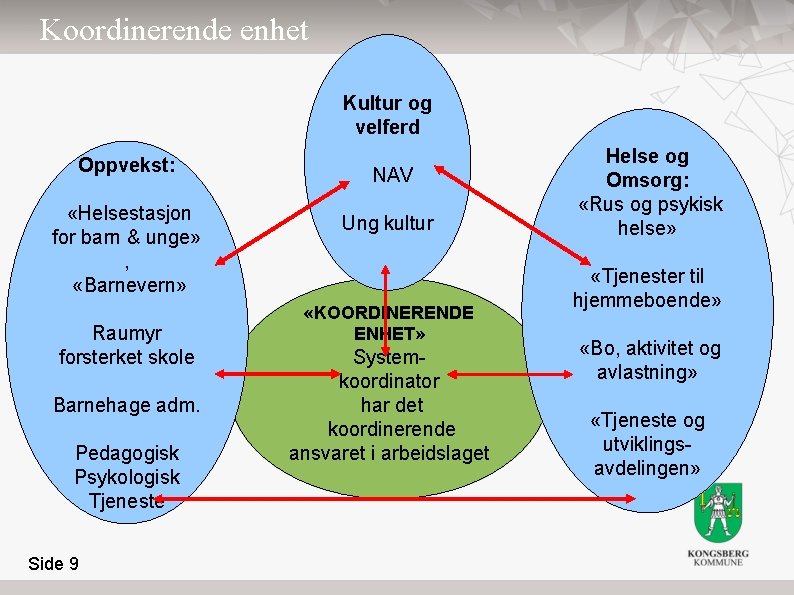 Koordinerende enhet Kultur og velferd Oppvekst: «Helsestasjon for barn & unge» , «Barnevern» Raumyr