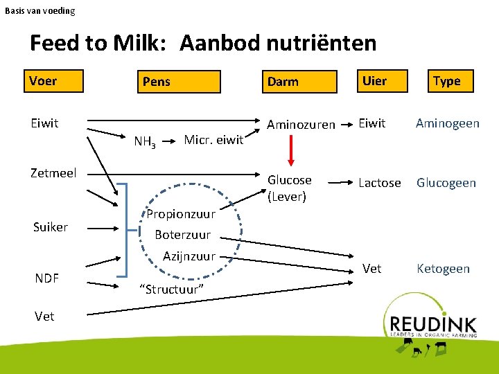 Basis van voeding Feed to Milk: Aanbod nutriënten Voer Pens Eiwit NH 3 Micr.