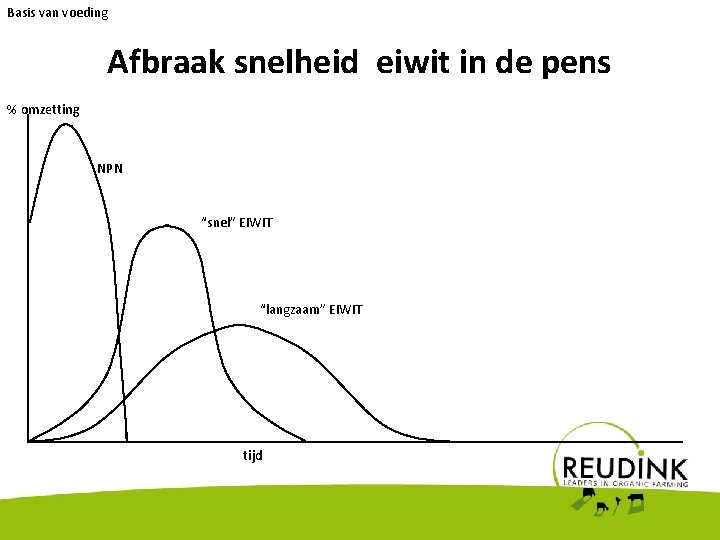 Basis van voeding Afbraak snelheid eiwit in de pens % omzetting NPN “snel” EIWIT