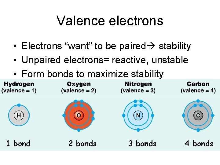 Valence electrons • Electrons “want” to be paired stability • Unpaired electrons= reactive, unstable