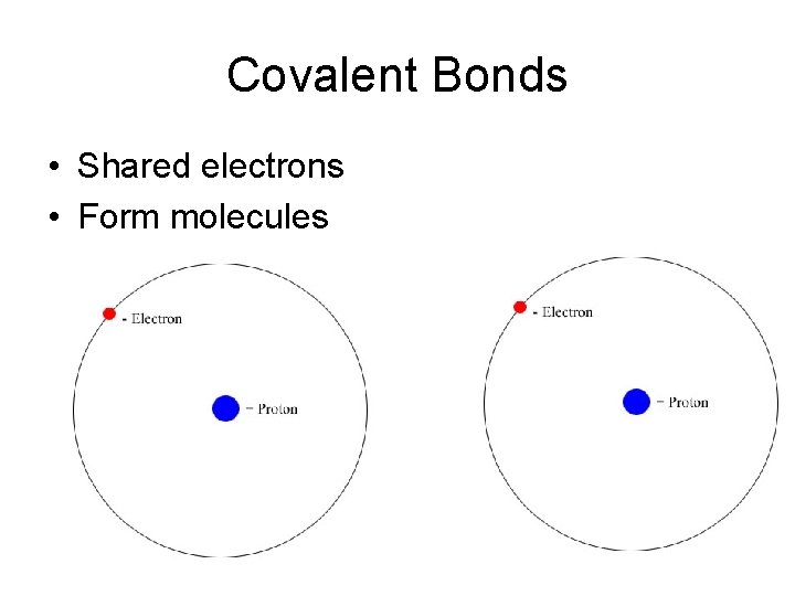 Covalent Bonds • Shared electrons • Form molecules 