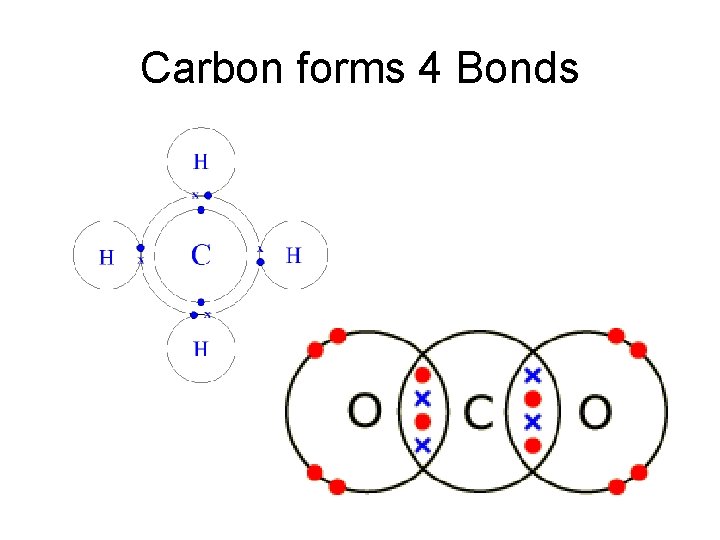 Carbon forms 4 Bonds 