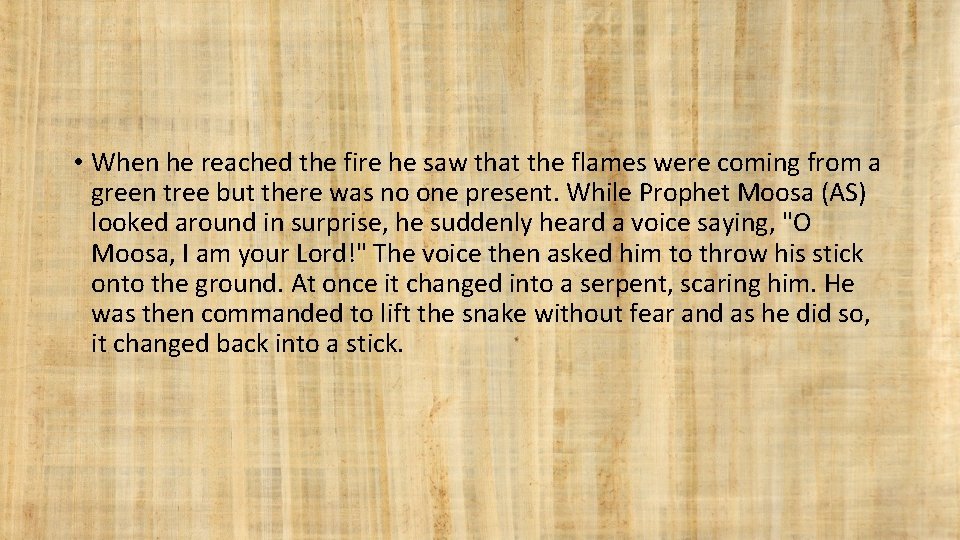  • When he reached the fire he saw that the flames were coming