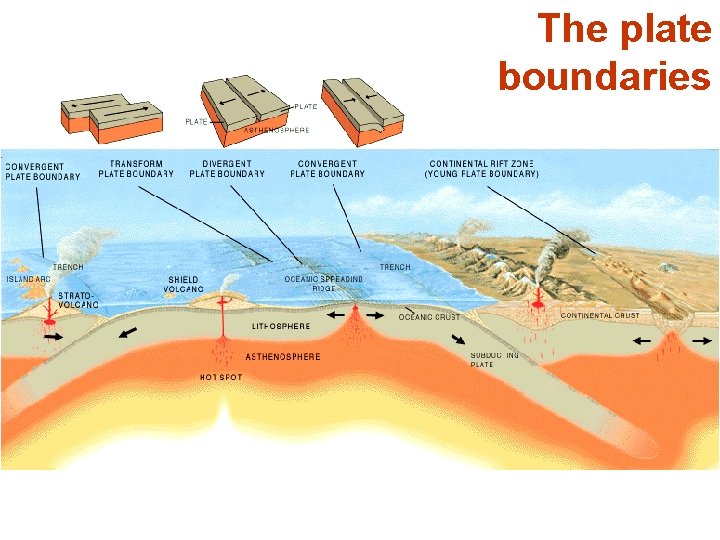 The plate boundaries 