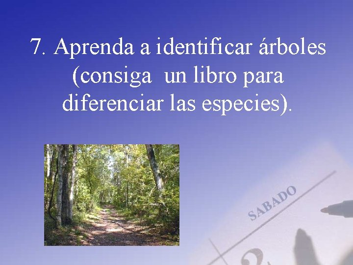 7. Aprenda a identificar árboles (consiga un libro para diferenciar las especies). 