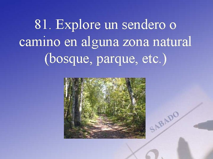 81. Explore un sendero o camino en alguna zona natural (bosque, parque, etc. )