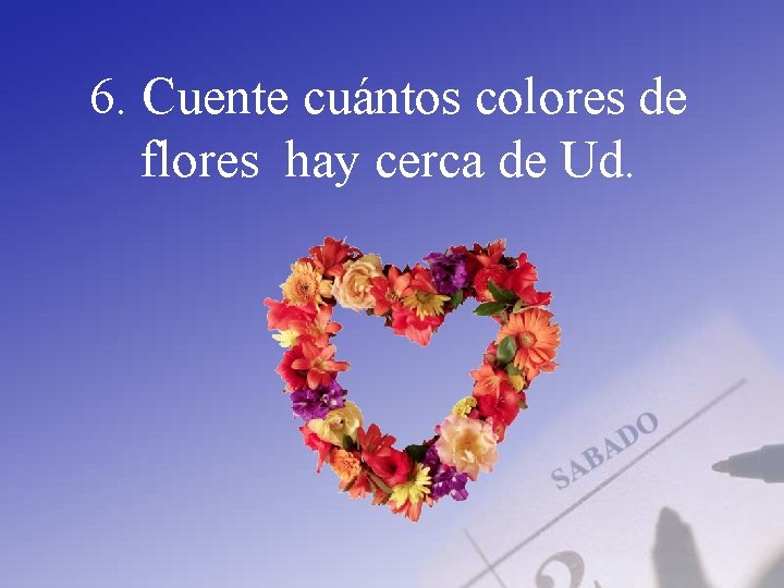 6. Cuente cuántos colores de flores hay cerca de Ud. 